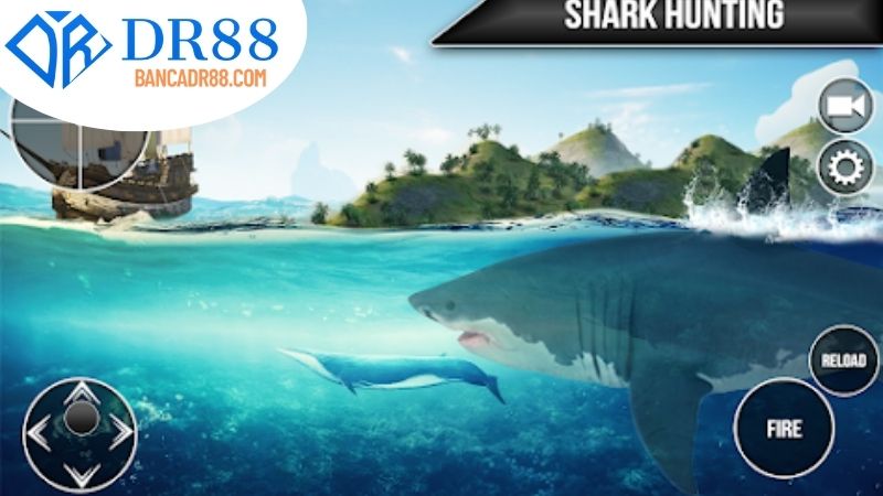 Giới thiệu chung về Bắn cá cá mập DR88