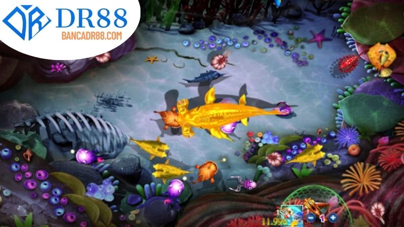 Cách chơi Bắn Cá trên DR88