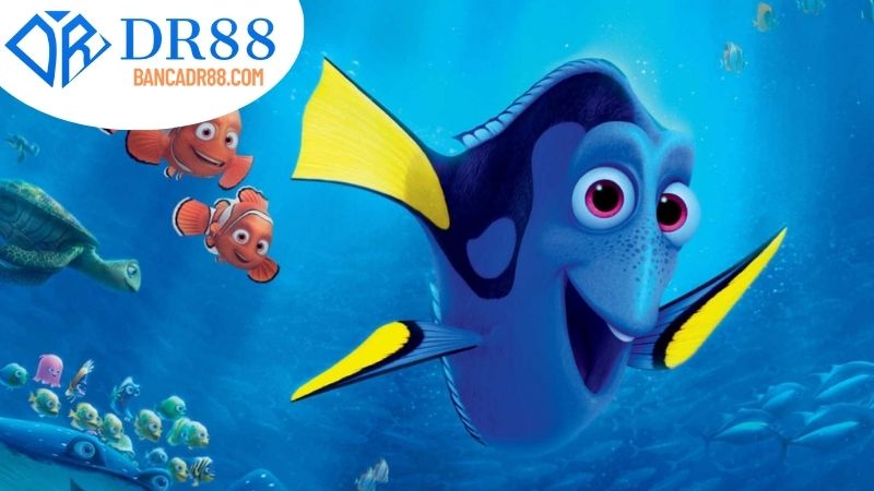 Tài khoản cá nhân tại nhà cái DR88: Đặc điểm và lợi ích