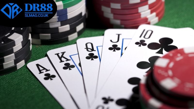 Các loại hình Poker online DR88 phổ biến được yêu thích bậc nhất