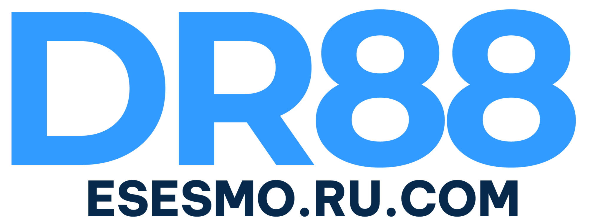 LOGO DR88
