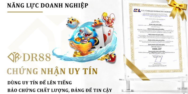 Giấy chứng nhận năng lực của nhà cái DR88 trên thị trường quốc tế