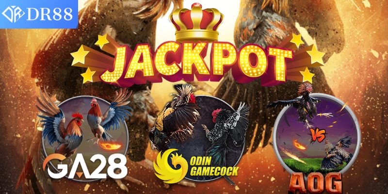 Trải nghiệm đá gà DR88 với hình ảnh chất lượng cao